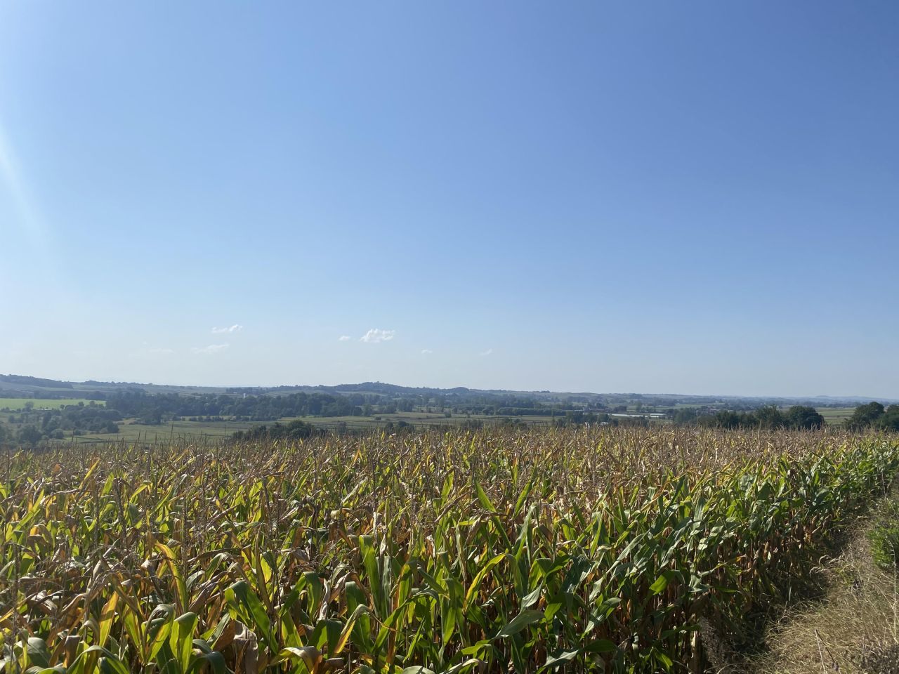 Działka budowlana Książnice Małe. Zdjęcie 4