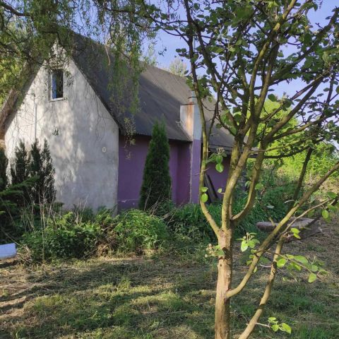 Działka siedliskowa Popowice. Zdjęcie 9