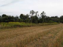 Działka budowlana Borów. Zdjęcie 3