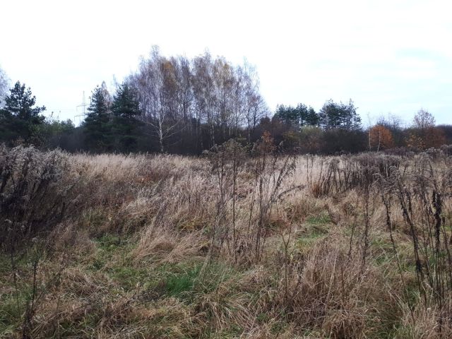 Działka rolna Libiąż, ul. Elizy Orzeszkowej. Zdjęcie 1