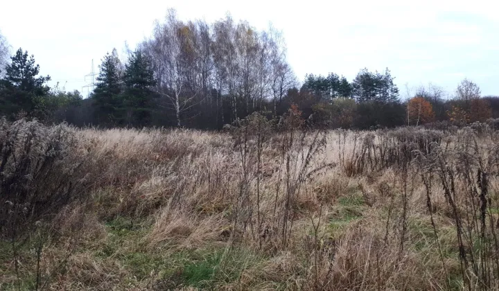 Działka rolna Libiąż, ul. Elizy Orzeszkowej