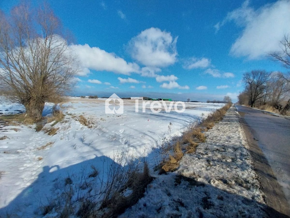 Działka rolna Wocławy, ul. Królowej Bony. Zdjęcie 6