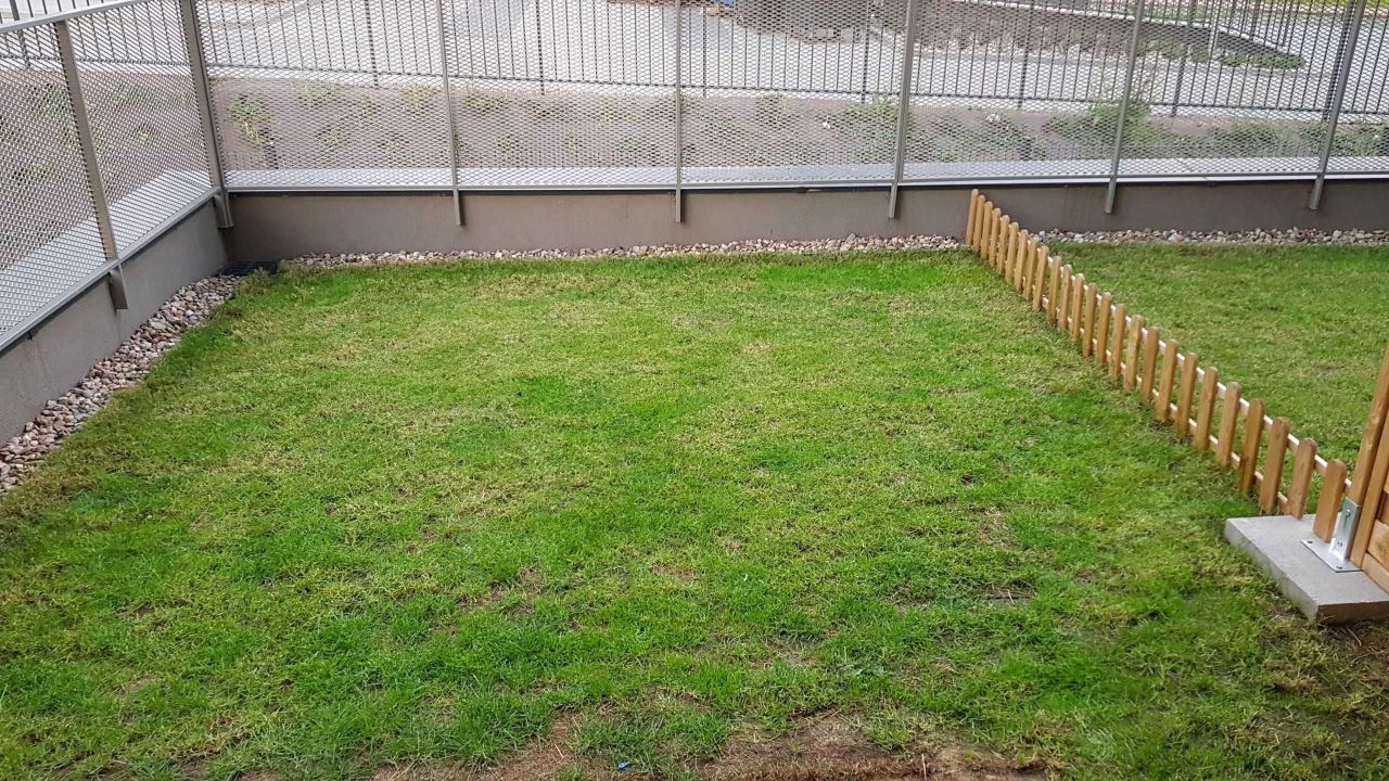 Mieszkanie 1-pokojowe Wrocław Stare Miasto, ul. Rychtalska. Zdjęcie 8
