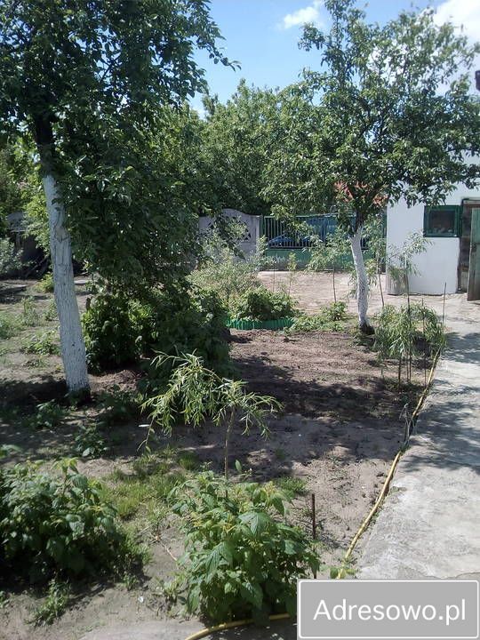 dom wolnostojący, 3 pokoje Włocławek Milęcin, ul. Cienista. Zdjęcie 2