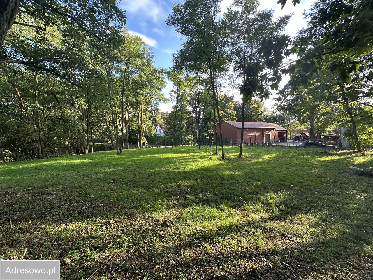 Działka budowlana Biedrzychowice Dolne. Zdjęcie 5