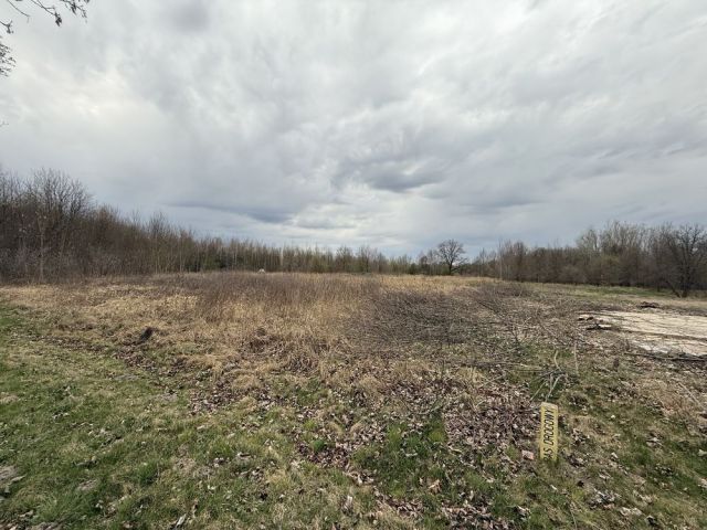 Działka budowlana Lipinki Łużyckie, ul. Żarska. Zdjęcie 1