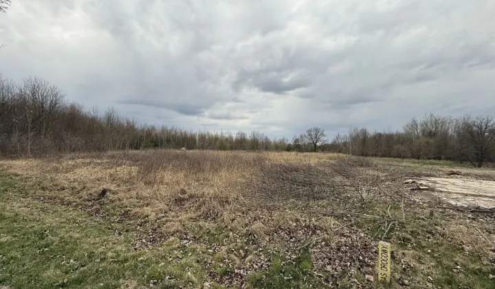 Działka budowlana Lipinki Łużyckie, ul. Żarska