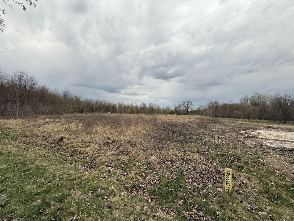 Działka budowlana Lipinki Łużyckie, ul. Żarska. Zdjęcie 1