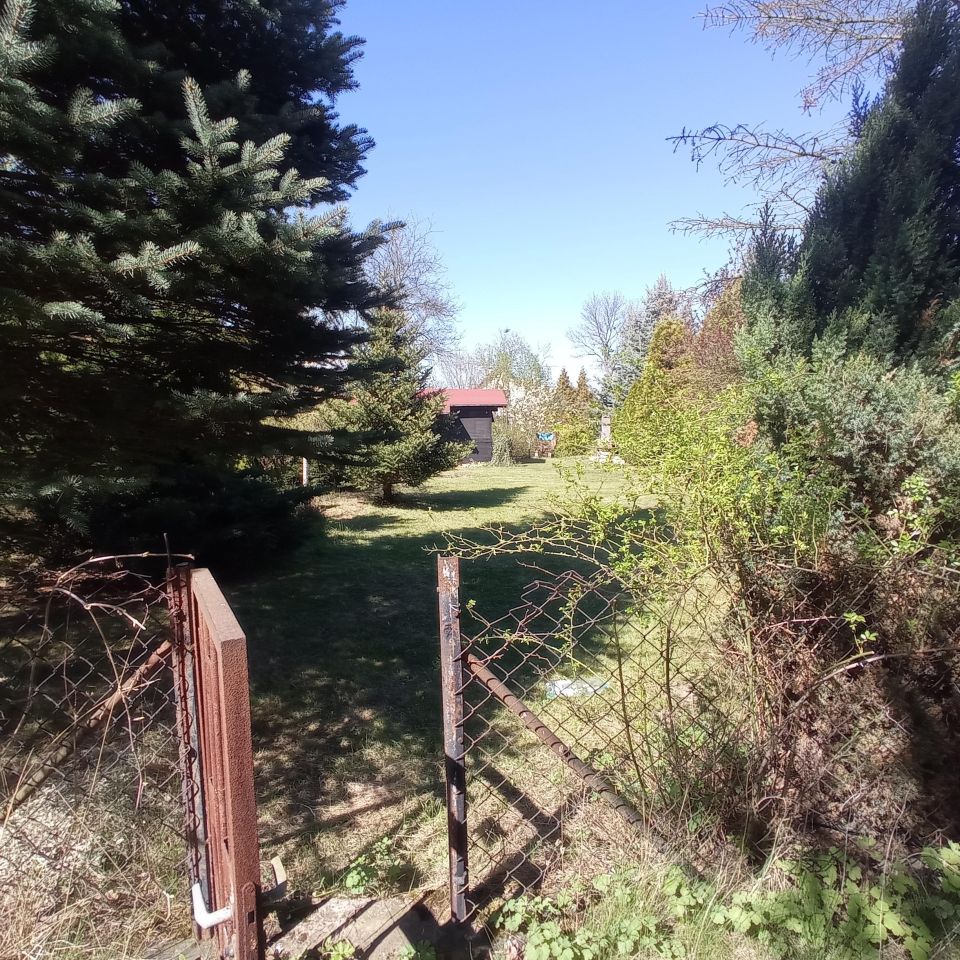 Działka rod Sosnowiec Kazimierz, ul. Limbowa. Zdjęcie 10