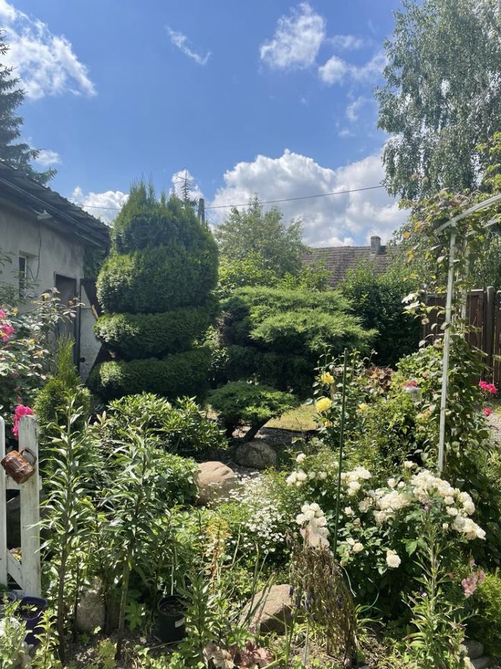 bliźniak, 4 pokoje Sokolniki. Zdjęcie 8