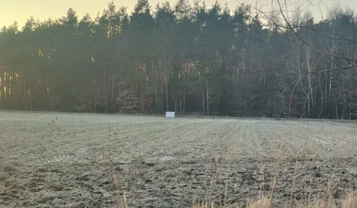 Działka budowlana Taczowskie Pieńki