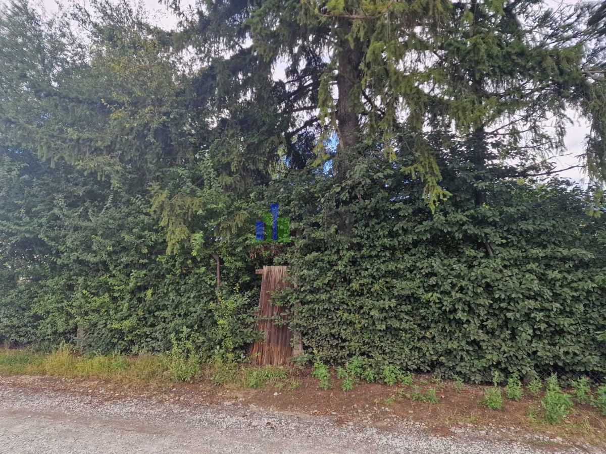 Działka budowlana Miłoszyce, ul. Ratowicka. Zdjęcie 10