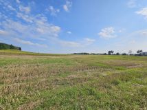 Działka rolno-budowlana Smogorzewo. Zdjęcie 2