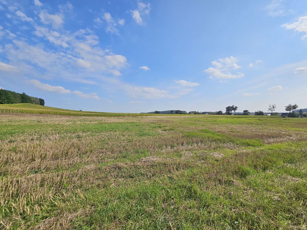 Działka rolno-budowlana Smogorzewo. Zdjęcie 3