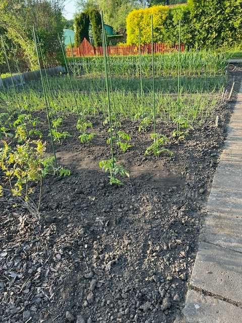 Działka rod Piła. Zdjęcie 2