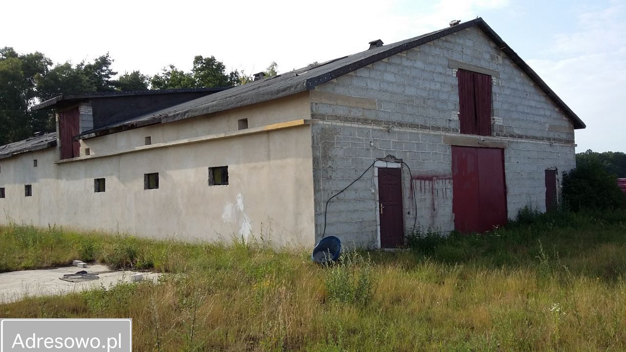 dom, 6 pokoi Warzyn-Skóry. Zdjęcie 4