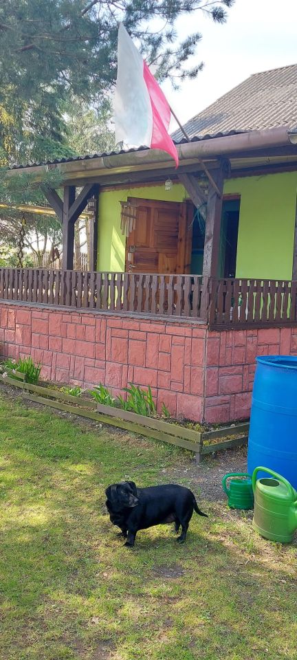 Działka rolno-budowlana Biała Wielka, ul. Legionów Polskich. Zdjęcie 2