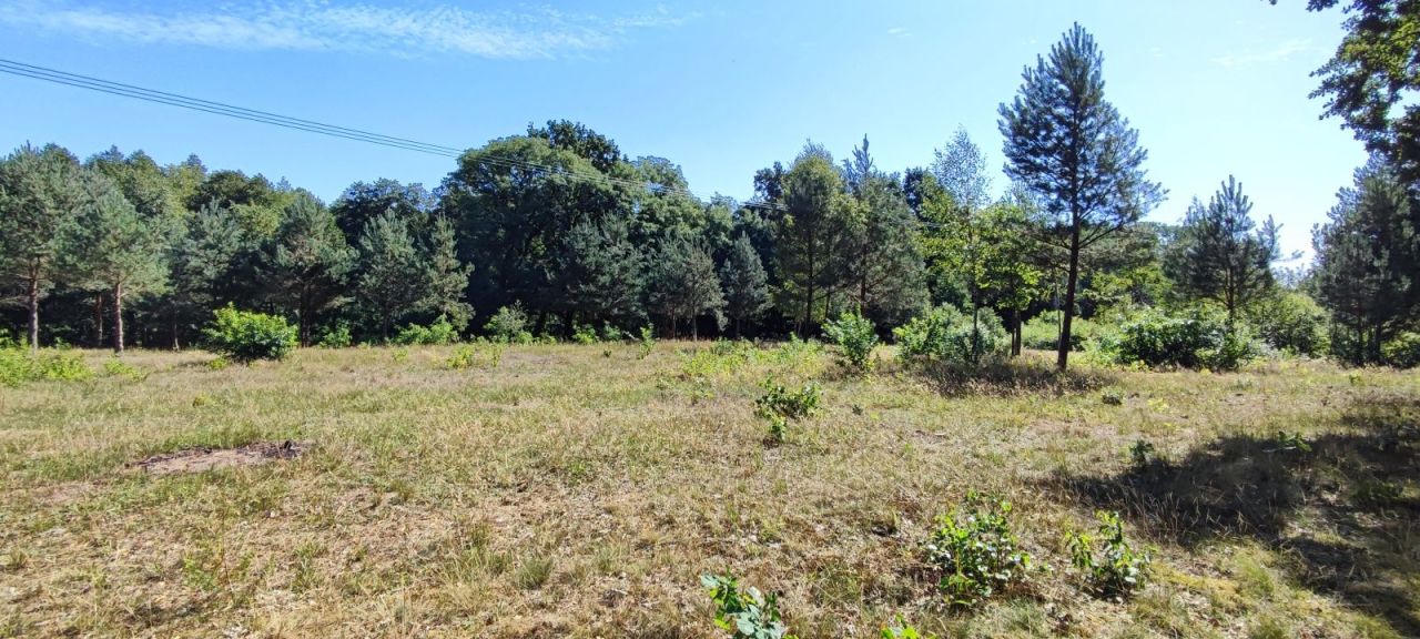 Działka budowlana Skoki. Zdjęcie 2