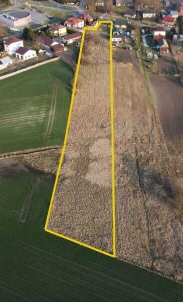 Działka rolno-budowlana Żdanów Klucz. Zdjęcie 4