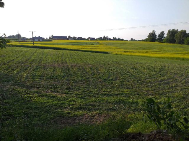 Działka budowlana Motycz. Zdjęcie 1