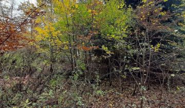 Działka budowlana Rusiec