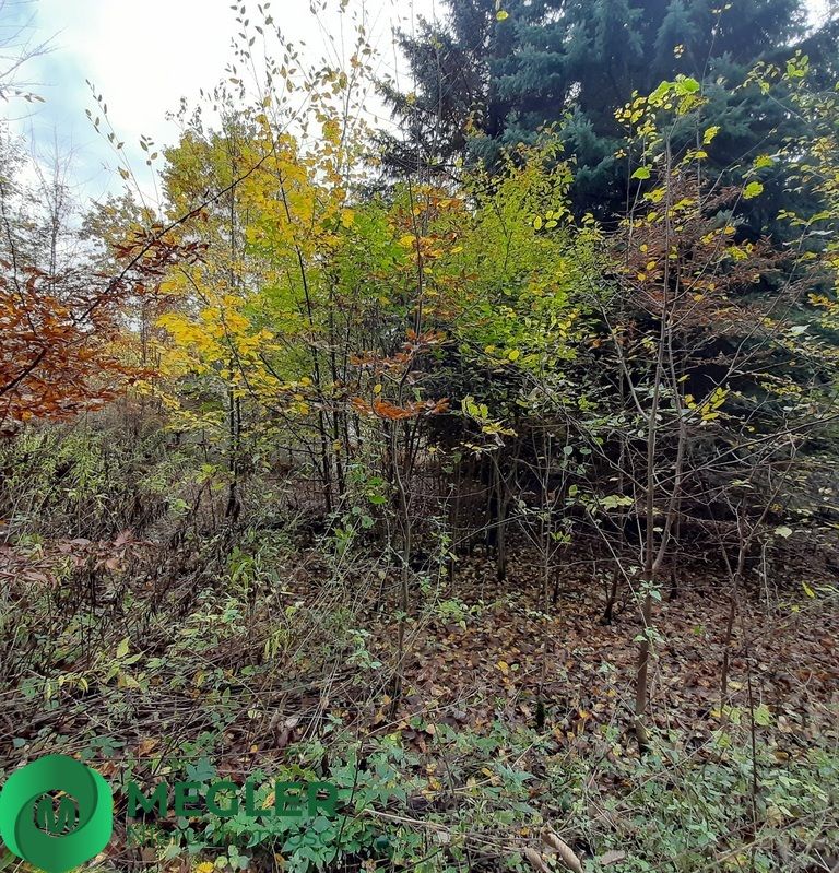 Działka budowlana Rusiec. Zdjęcie 2