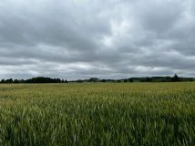 Działka budowlana Rumunki Witkowskie. Zdjęcie 1