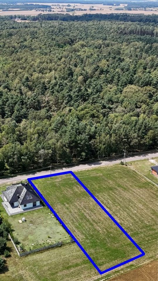 Działka rolno-budowlana Dankowice-Piaski. Zdjęcie 3
