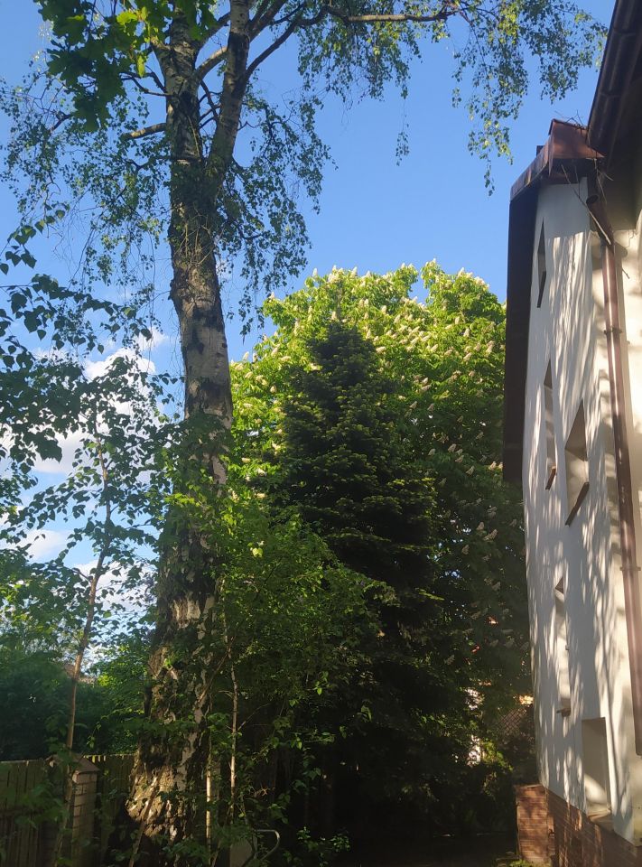 bliźniak, 6 pokoi Warszawa Białołęka, ul. Kazimierza Szałasa. Zdjęcie 16