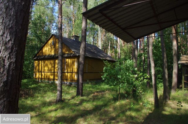 Działka leśna Rogoźnica. Zdjęcie 1