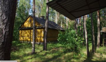 Działka leśna Rogoźnica