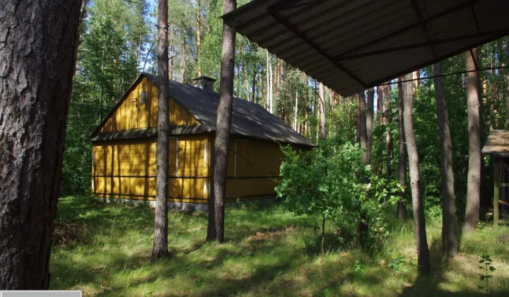 Działka leśna Rogoźnica