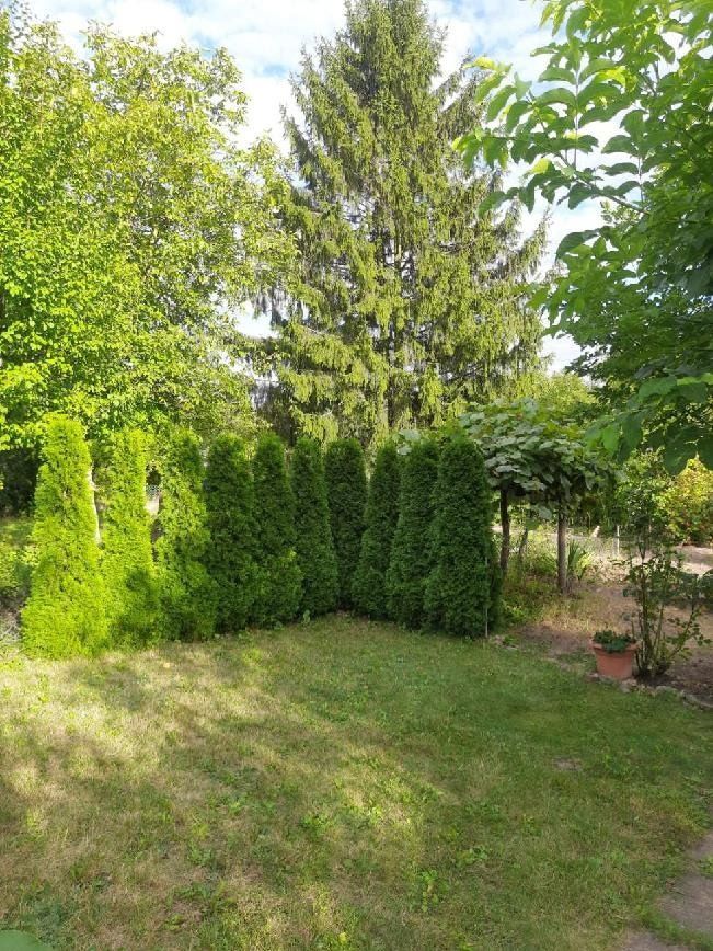 Działka rod Radom, ul. Wolanowska. Zdjęcie 6