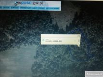 Działka leśna Lubycza Królewska. Zdjęcie 3