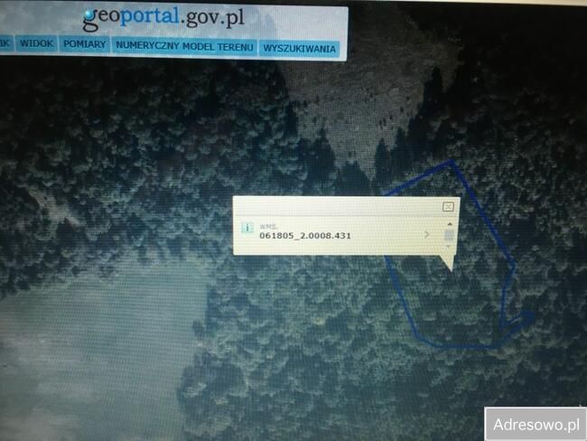 Działka leśna Lubycza Królewska. Zdjęcie 4