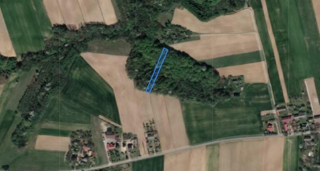 Działka leśna Domaradzice Kolonia Domaradzice. Zdjęcie 1