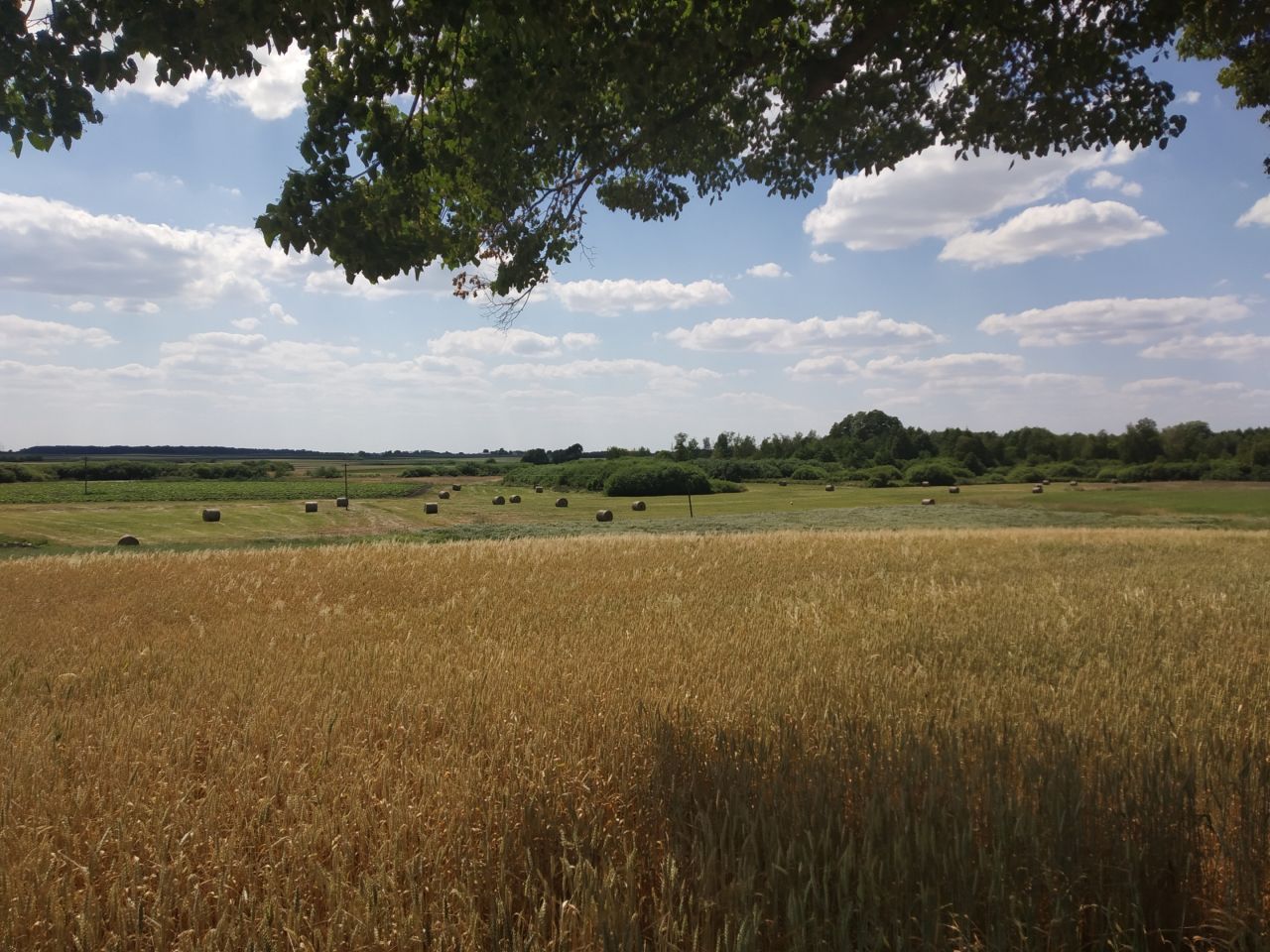 Działka rolna Zezulin Niższy. Zdjęcie 2