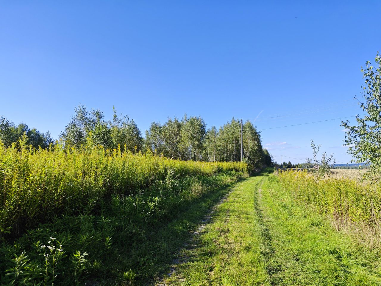 Działka rolno-budowlana Święcany. Zdjęcie 8