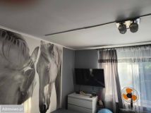 dom wolnostojący, 3 pokoje Szczodrkowice. Zdjęcie 4