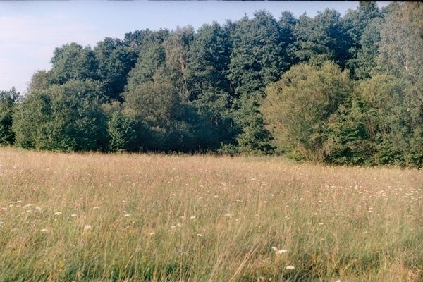 Działka rolna Śniaty