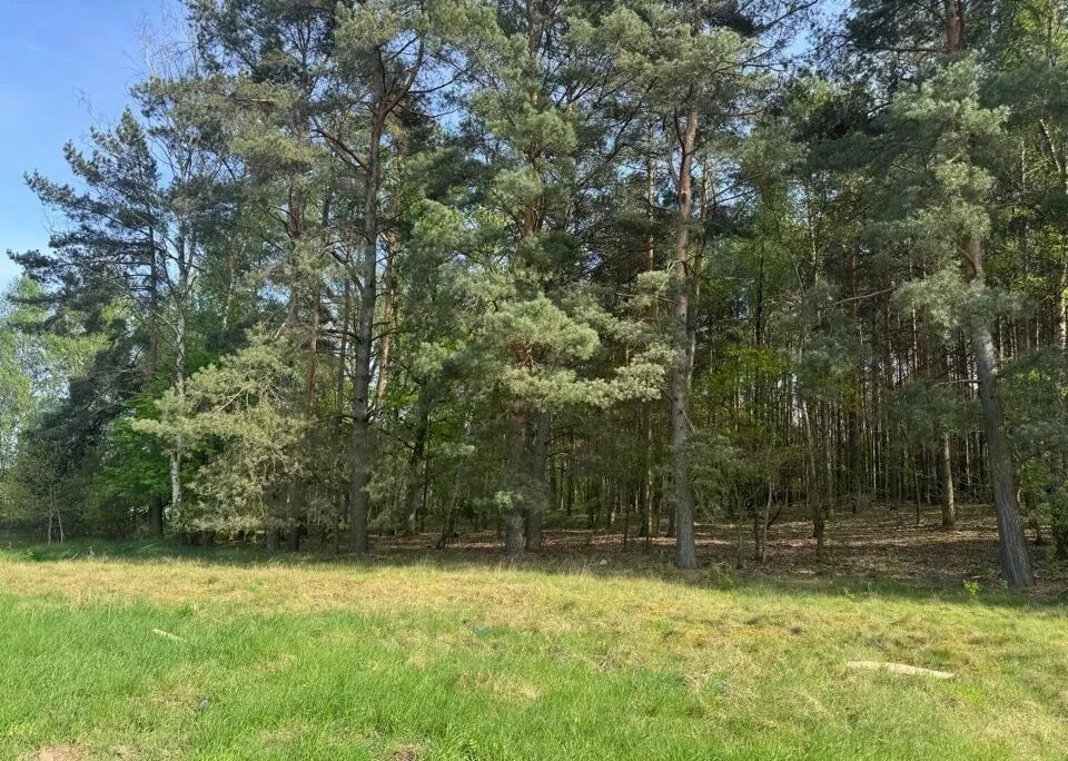 Działka budowlana Zielona Góra Racula, ul. Racula-Podleśna. Zdjęcie 3