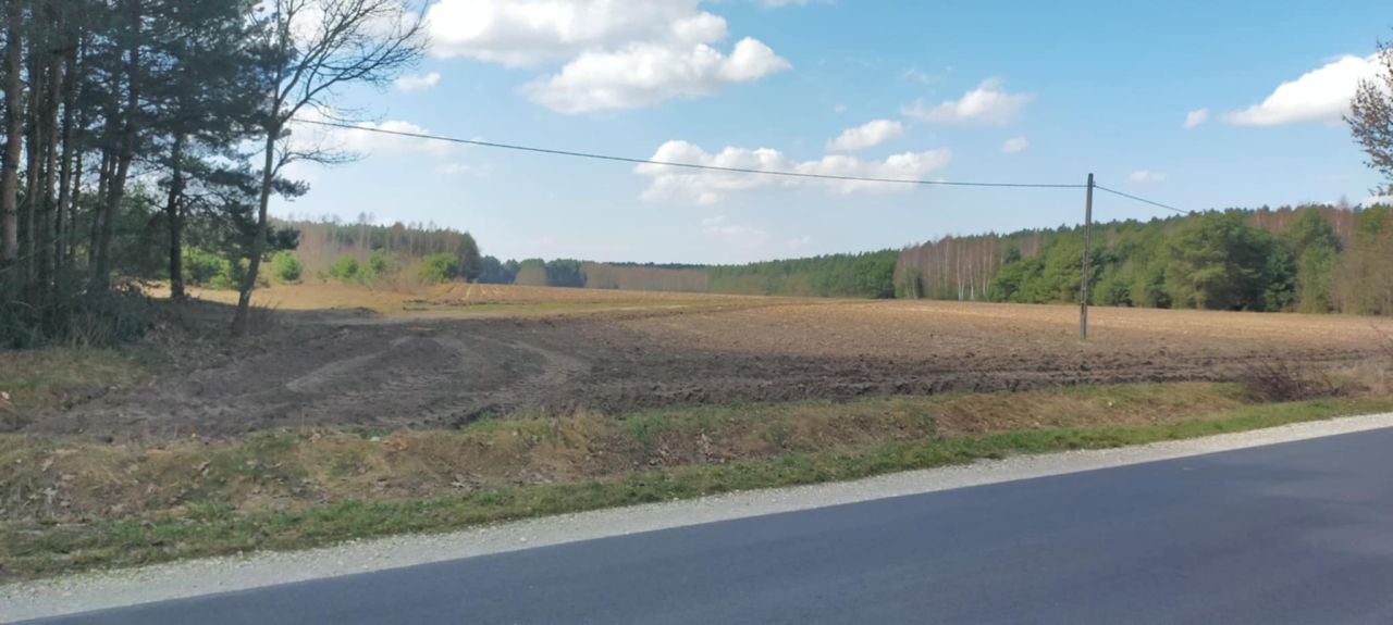 Działka rolna Przerąb. Zdjęcie 5