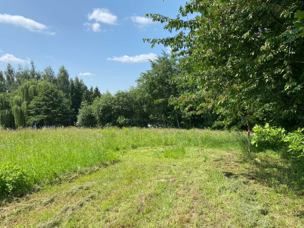 Działka siedliskowa Bodzanów. Zdjęcie 2