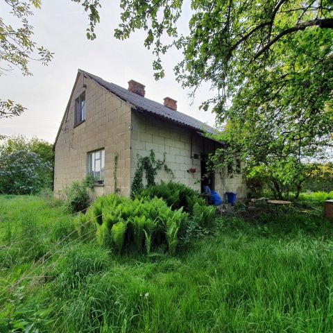 Działka rolna Podłęcze Podłęcze Brzeskie. Zdjęcie 1