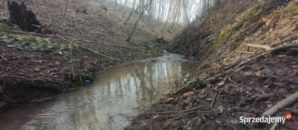 Działka rolna Prawęcin. Zdjęcie 5