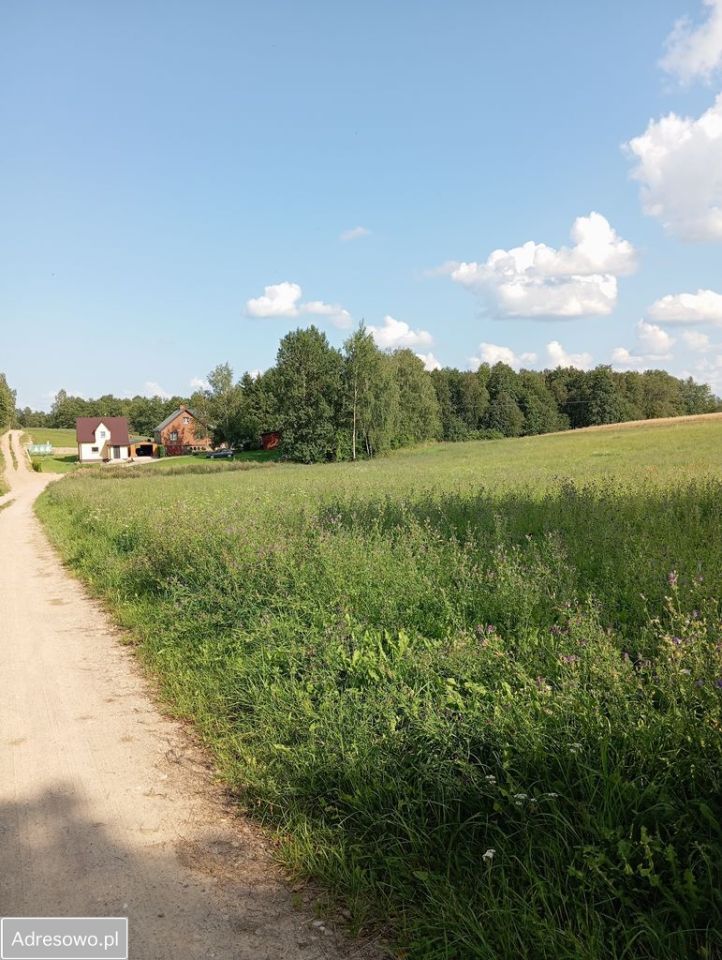 Działka rolno-budowlana Krasnogruda. Zdjęcie 6