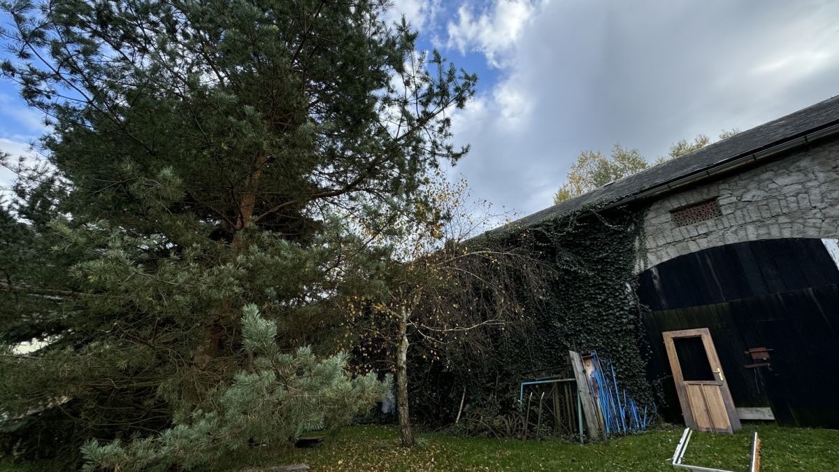 dom wolnostojący, 10 pokoi Czernica. Zdjęcie 15