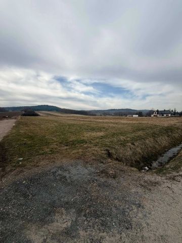 Działka rolno-budowlana Lutcza. Zdjęcie 1