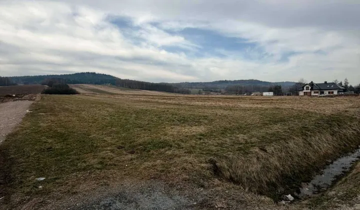 Działka rolno-budowlana Lutcza