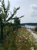 Działka budowlana Nowa Wioska. Zdjęcie 3